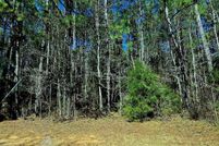 Recreational Property for sale in Dale County, Alabama