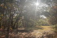 Undeveloped Land for sale in Hampton County, South Carolina