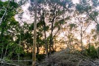 Homesite for sale in Pearl River County, Mississippi