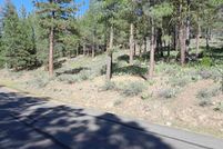 Undeveloped Land for sale in Plumas County, California