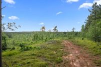 Undeveloped Land for sale in San Augustine County, Texas