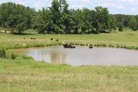 Farm and Ranch for sale in Lincoln County, Mississippi