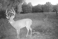 Farm and Ranch for sale in Livingston County, Missouri