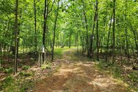 Undeveloped Land for sale in Clare County, Michigan