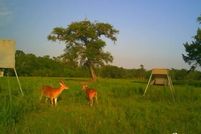 Farm and Ranch for sale in Brazoria County, Texas