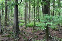 Farm and Ranch for sale in Pike County, Pennsylvania