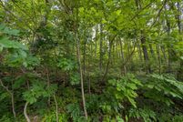 Farm and Ranch for sale in Warren County, Virginia