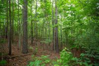 Undeveloped Land for sale in Lumpkin County, Georgia