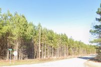 Land for sale in Orangeburg County, South Carolina