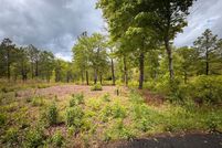 Land for sale in Fannin County, Georgia