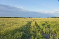 Undeveloped Land for sale in Limestone County, Texas