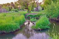 Undeveloped Land for sale in Hill County, Montana