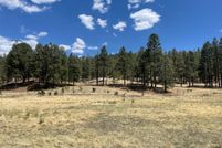 Farm and Ranch for sale in Apache County, Arizona