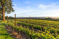 Farm and Ranch for sale in Yamhill County, Oregon