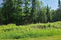 Timberland Property for sale in Alcona County, Michigan