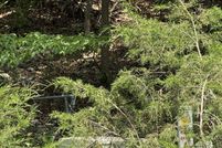 Land for sale in Baxter County, Arkansas