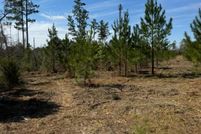Timberland Property for sale in Jackson County, Florida