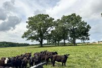 Undeveloped Land for sale in Fentress County, Tennessee