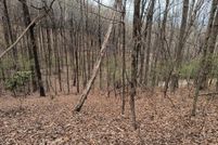 Undeveloped Land for sale in Gilmer County, Georgia