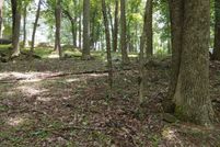 Undeveloped Land for sale in Gilmer County, Georgia