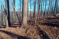 Land for sale in Gilmer County, Georgia