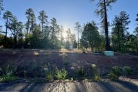 Land for sale in Navajo County, Arizona