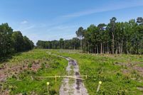 Undeveloped Land for sale in Bertie County, North Carolina