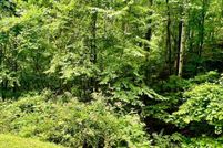 Land for sale in Towns County, Georgia