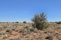Land for sale in Navajo County, Arizona