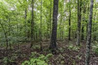 Land for sale in Fulton County, Arkansas