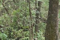 Undeveloped Land for sale in Johnston County, Oklahoma