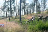 Land for sale in Stevens County, Washington