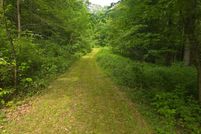 Land for sale in Chenango County, New York