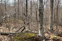 Undeveloped Land for sale in Franklin County, Massachusetts
