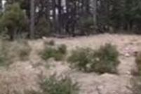 Land for sale in Yavapai County, Arizona