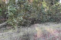 Land for sale in Barnwell County, South Carolina