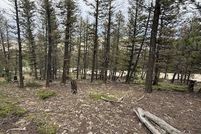 Homesite for sale in Park County, Colorado