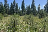 Land for sale in Plumas County, California