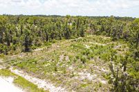 Undeveloped Land for sale in Taylor County, Florida