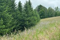 Undeveloped Land for sale in Cortland County, New York