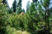 Land for sale in Stevens County, Washington