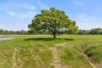 Farm and Ranch for sale in Camp County, Texas