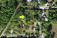 Undeveloped Land in Wakulla County, Florida