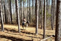 Timberland Property for sale in Orange County, North Carolina