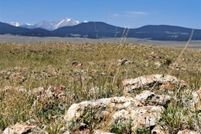 Land for sale in Park County, Colorado