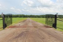 Undeveloped Land for sale in Leon County, Texas
