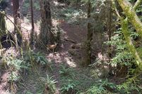 Land for sale in Santa Cruz County, California