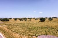Undeveloped Land for sale in Gillespie County, Texas
