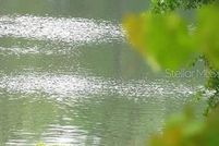 Land for sale in Marion County, Florida