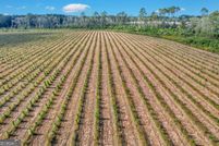 Land for sale in Appling County, Georgia